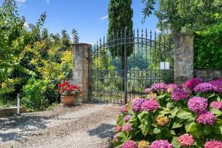 The Barn | 1BR Pool & Vineyard Views in Tuscany Vacation rental in Emilia-Romagna
