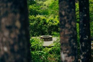 Matahom Forest Glamping Tent 2 Vacation rental in Northern Mindanao