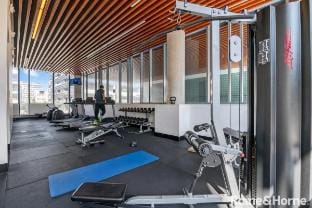 LUXE Waterloo 1 bed with parking, gym & pool Vacation rental in Sydney