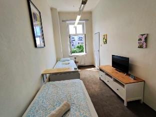 Cozy Flat at Žižkov + Parking Vacation rental in Prague