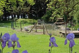 Domaine des Célestins - Grange aux fées Vacation rental in Hauts-de-France