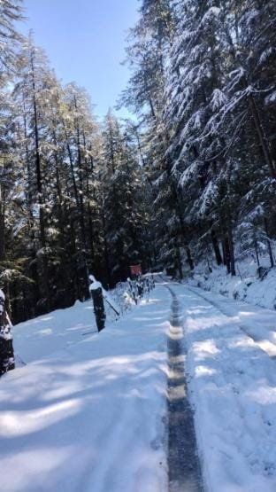 misty mountains cottage Vacation rental in Himachal Pradesh