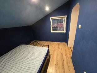 Cozy appartment close to the castle Vacation rental in Serbia