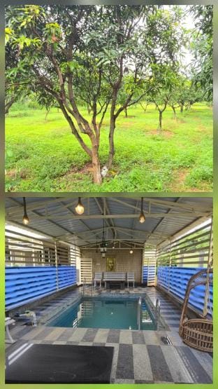 Thota Bangla Farm Stay in Telangana