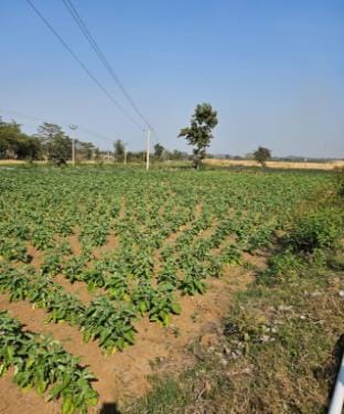 Chukapahad Agriculture Farm Resort Farm Stay in India