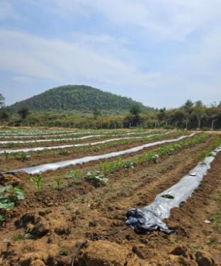 Chukapahad Agriculture Farm Resort Farm Stay in India