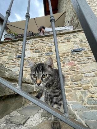 Il Tesoro di MiRo Farm Stay in Liguria