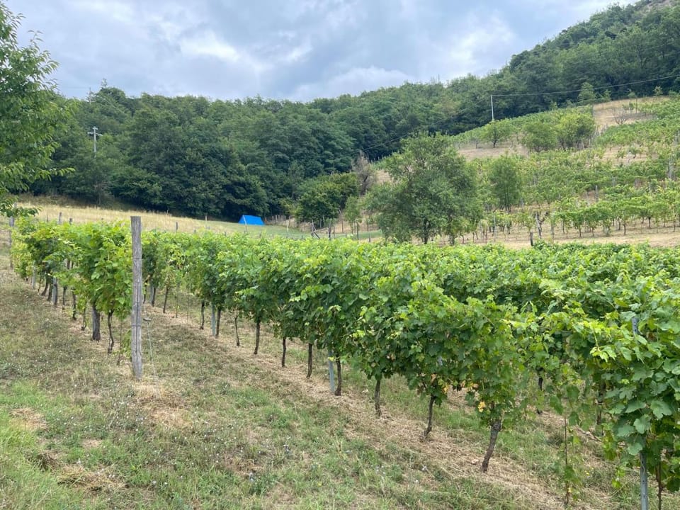 Il Tesoro di MiRo Farm Stay in Liguria