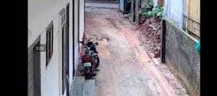 Punartham homestay  Apartment in Kerala