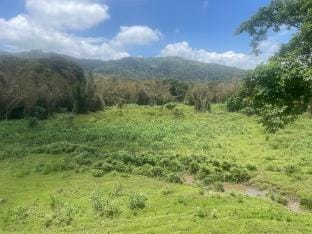 Whitehouse Thekkady Vacation rental in Kerala