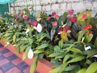 Sabaoth stays madikeri Vacation rental in Madikeri