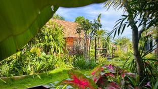 Cat Tien Garden Homestay, Homestay nam cát tiên Vacation rental in Lâm Đồng