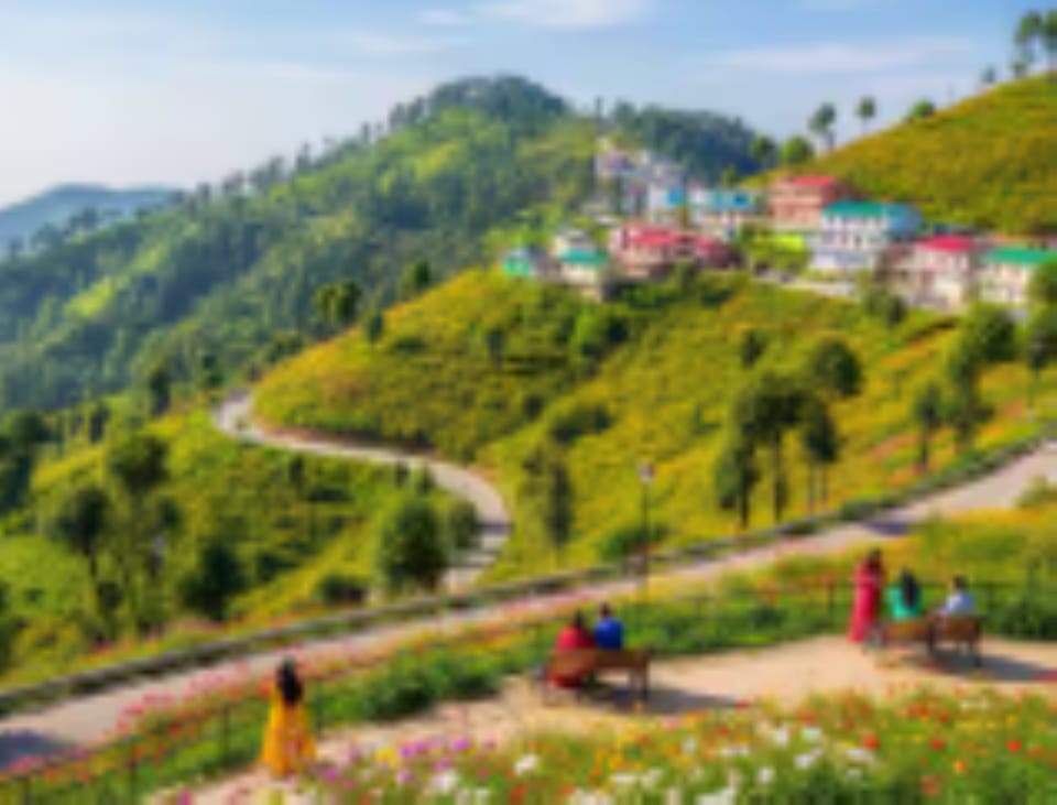 Hotel Saiom Palace Hotel in India