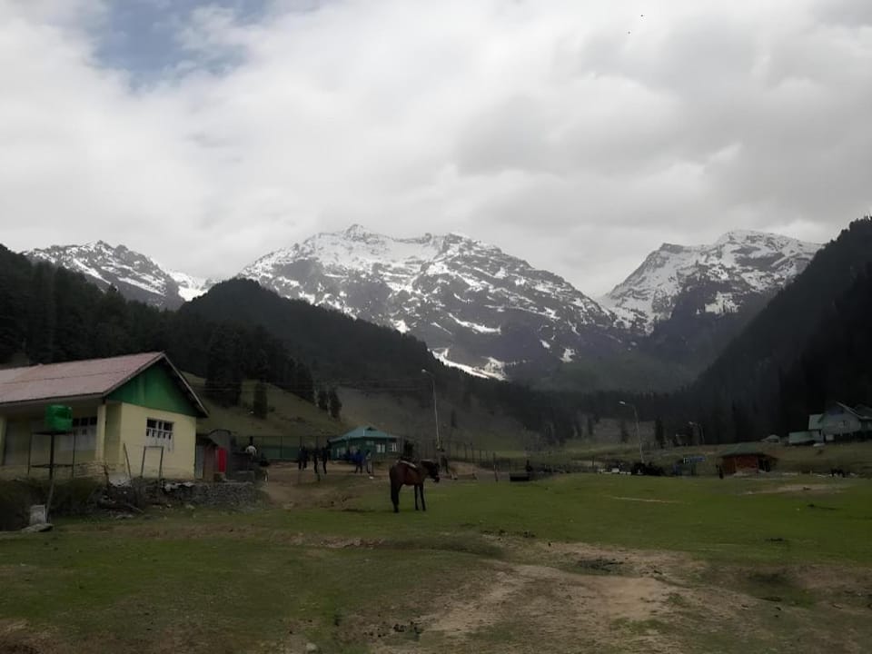 Hotel Heemal Pahalgam Jammu and Kashmir Hotel in Punjab