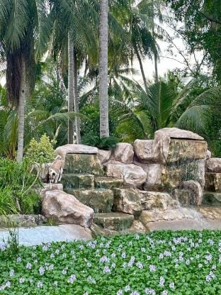 DANU COCO Pool Villa Villa in Ban Tai