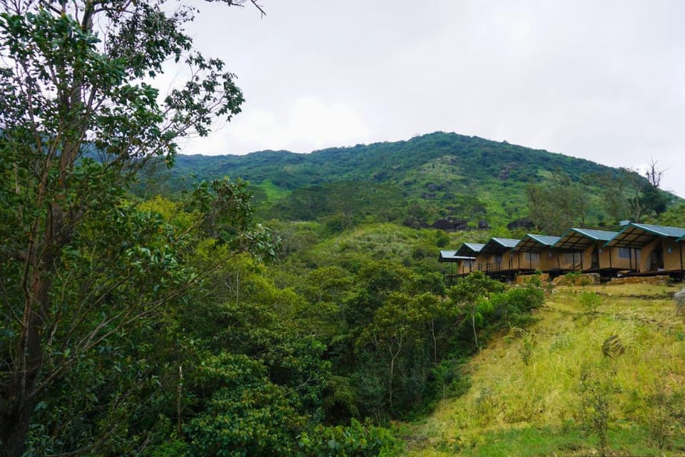 Wild Glamping Knuckles - Thema Collection Luxury tent in Central Province