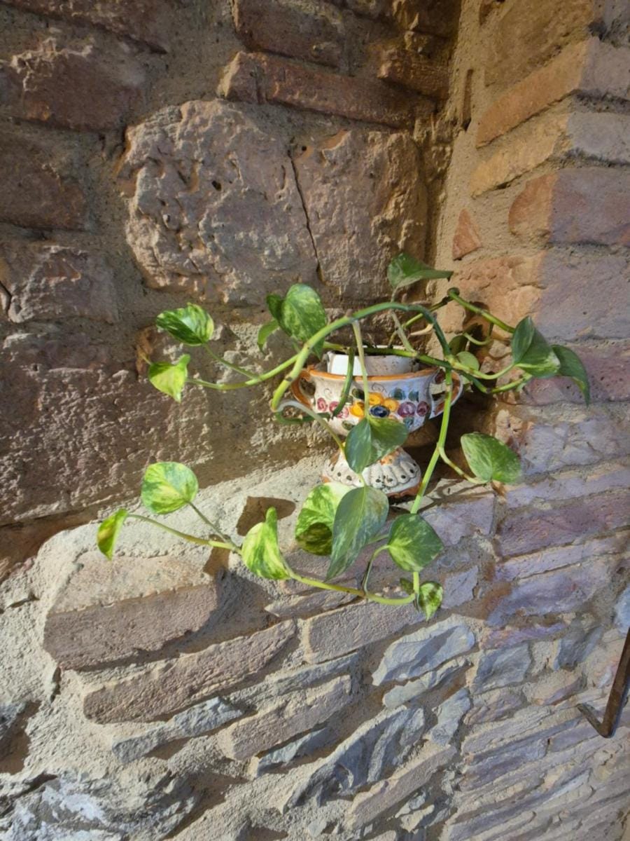 Six Keys Guesthouse Bed and Breakfast in Umbria