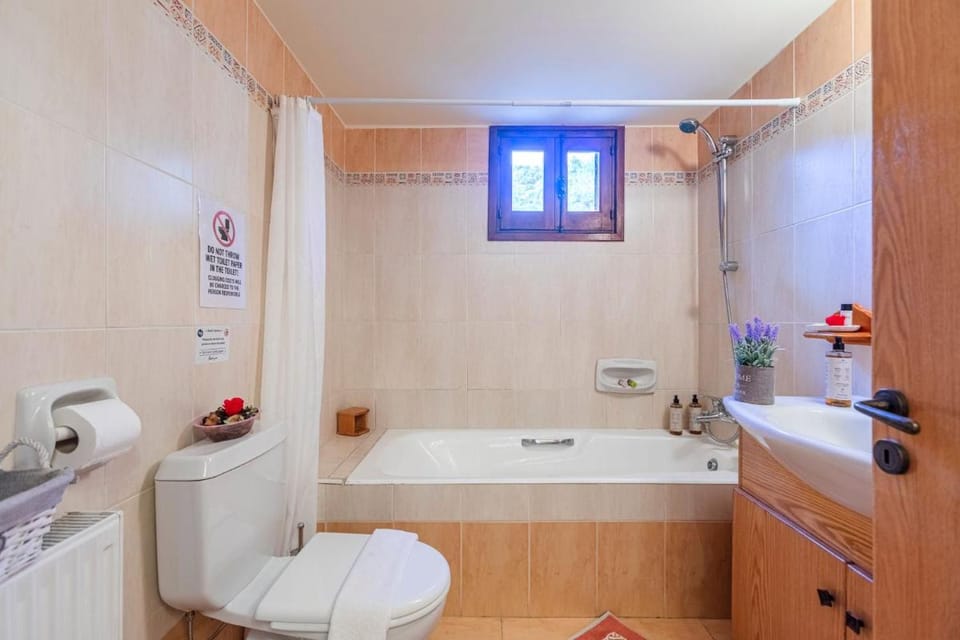 Villa Penelope Platres Villa in Limassol District