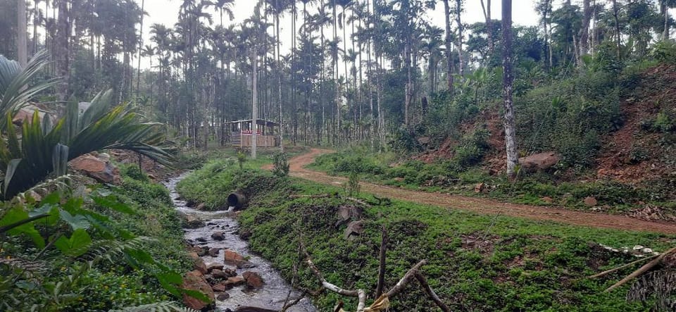 Malavantige Estate Tent Stay Hotel in Karnataka