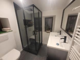Charming Annecy Old Town Apartment, 100m from Lake Apartment in Annecy