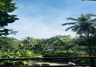 alicastle home stays Vacation rental in Kerala