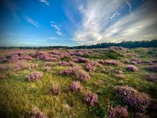 Farmhouse in Veluwe near Speulderbos Forest Vacation rental in Ermelo