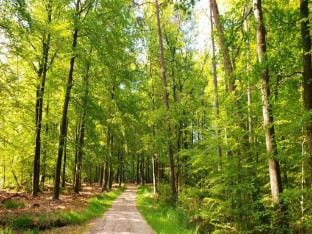 Pets Welcome, Veluwe Farmhouses for All Vacation rental in Ermelo