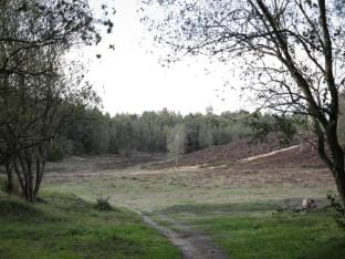 Farmhouse in Veluwe with Sauna and Nature Views Vacation rental in Ermelo