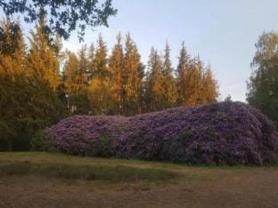 Forest Farmhouse w Private Garden Vacation rental in Ermelo