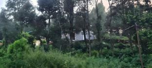 Awadh Niwas – A Home in the Heart of the Forest Vacation rental in Uttarakhand