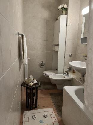 Room with a View  - Shared Vacation rental in Geneva