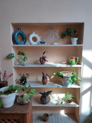 Anjali's Homestay Vacation rental in Jaipur