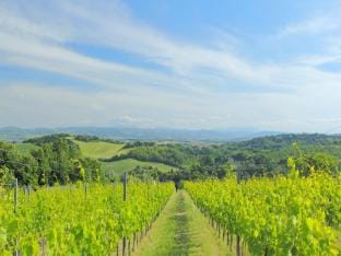 Apartment in Marche near Urbino and Pool Vacation rental in Marche