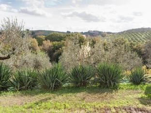Apartment in Umbria near Montefalco Winery Vacation rental in Umbria