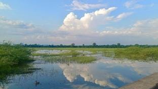 Matra Chhaya farmhouse Vacation rental in Rajasthan