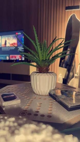 Elegant studio with a hotel character Vacation rental in Riyadh