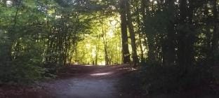 Greenbrook Homes - Black Suites Vacation rental in Aalborg