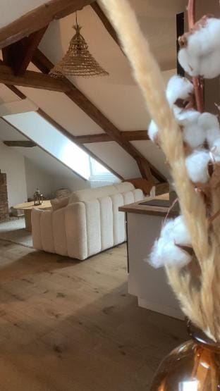 Augustus' Cocoon Vacation rental in Le Havre