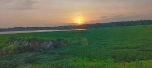 Restatnest Farm Stay in Karnataka