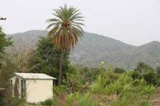 Kewde Ki Naal Farm House Farm Stay in Udaipur