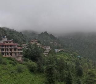 TULIP COTTAGE RAMGARH Vacation rental in Uttarakhand