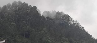 Indian House Vacation rental in Kodaikanal