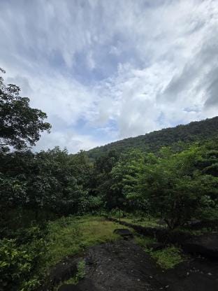 Wild Heaven Cottage Athirappilly Vacation rental in Kerala