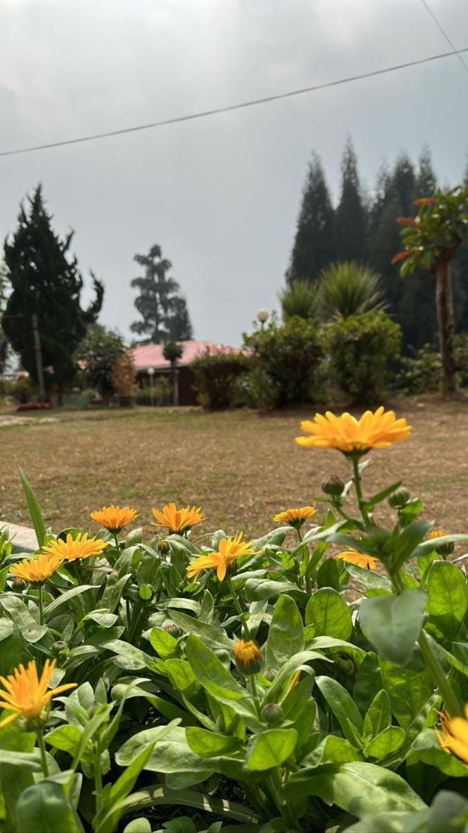 Dilpali Home Cum Farm stay Vacation rental in West Bengal