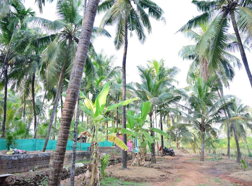 Anjanadri Riverfront Stay Hotel in Karnataka