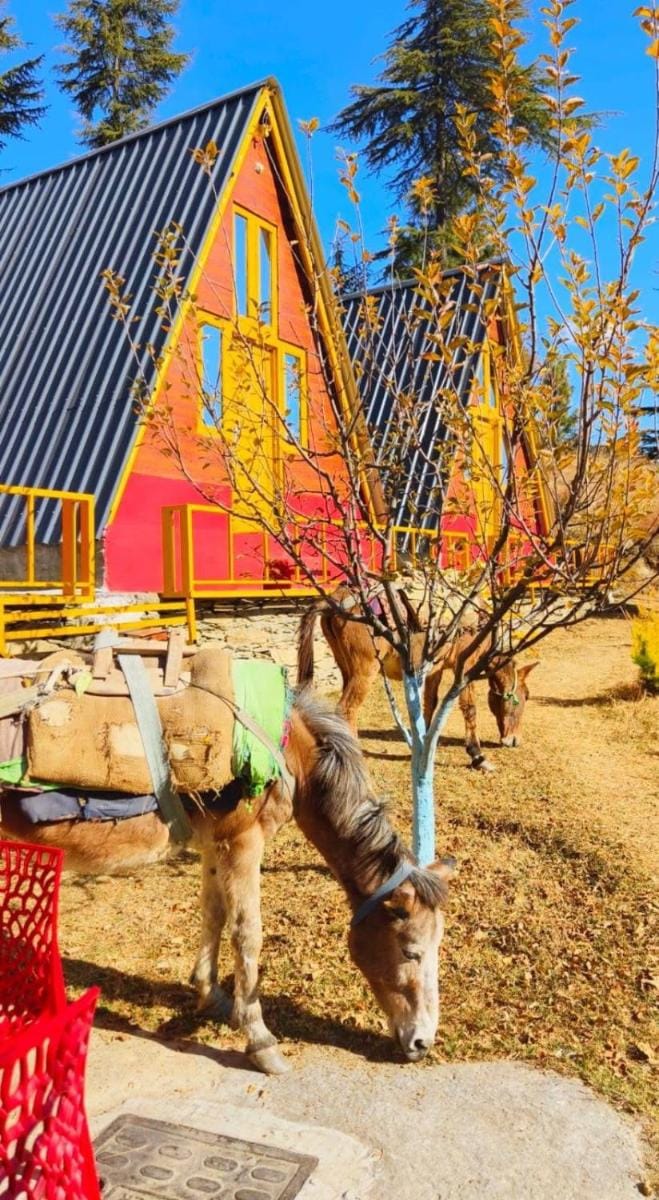 Dahar Heights - A Boutique Homestay Vacation rental in Himachal Pradesh