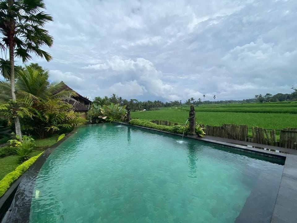 Padi Bali Villa Villa in Payangan
