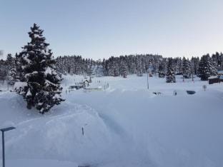 Apartment in Chamrousse near Ski Slopes Apartment in Provence