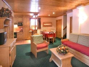 Spacious Alpine Apartment Apartment in Les Deux Alpes