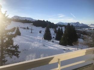 Alpine Comfort at Chamrousse Apartment in Provence
